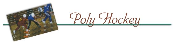 Poly Hockey